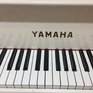 🎹ピアノ教室 生徒さん大募集‼️  白いグランドピアノです🎹  🅿️無料完備🚙　無料体験アリ🎵    出張レッスン有り🎹の画像
