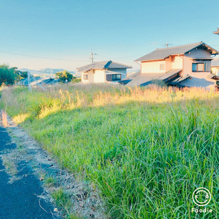 行橋市道場寺😊70坪☘️敷金礼金無料🌟月額2万🏖資材置き場✨