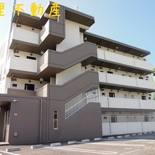 【ＮＥＷ☆敷金・礼金無し◎１ＬＤＫのお部屋でゆったり快適生活(*゜ェ゜*)ノ】コンタシオンIII - 賃貸（マンション/一戸建て）