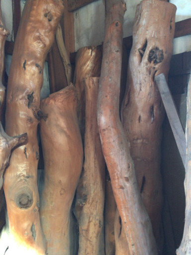 【材木】原木　長さ1,500〜2,500 20〜25本程度