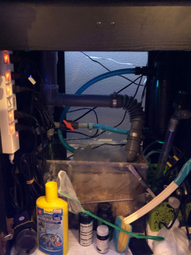 海水魚水槽生体込みフルセット