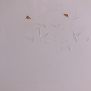ダイニング3点セットの画像