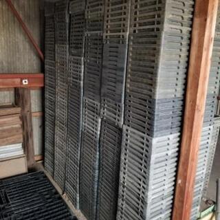 育苗箱　残り約300枚　プラスチック箱　田植え　0円の画像