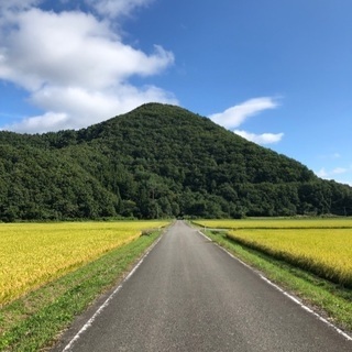 サイクリング仲間募集
