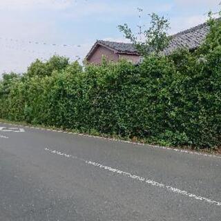 ～200坪 倉庫探しています！
