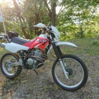 ホンダ　XR250 ME06 レーサー　レア　カスタム　レストア