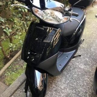 ホンダ タクト 2019 原付