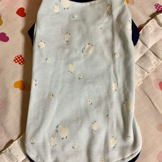 ハンドメイド パピー用犬服  新品 S コットンブルー