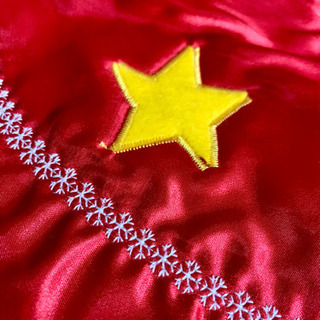 ハンドメイド　犬服　クリスマント　　MCの画像