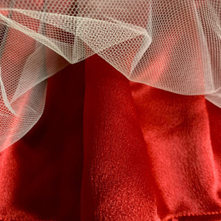 ハンドメイド犬服  新品 ワンピ チュール  Ｌの画像