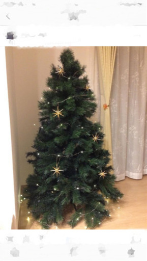 11月15日か16日削除　クリスマスツリーセット