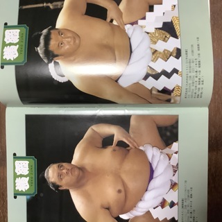 大相撲 九月場所   1995年の画像