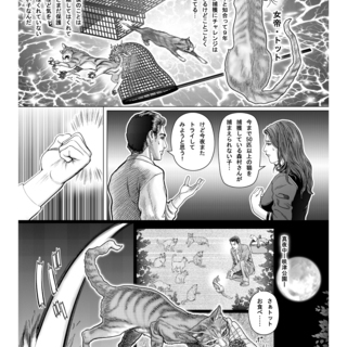 桜猫にチャンスをm(_ _)m