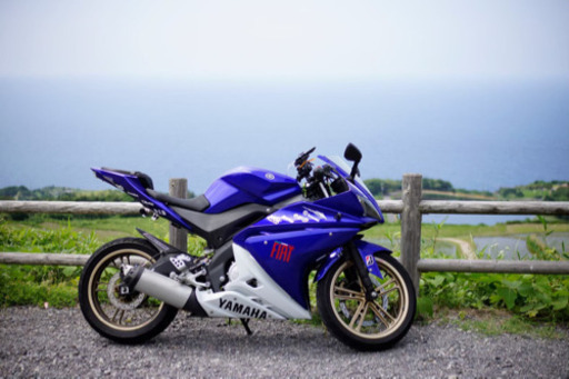 YZF-R125 フェンダーレスキット付けます