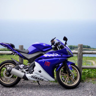 YZF-R125 フェンダーレスキット付けます