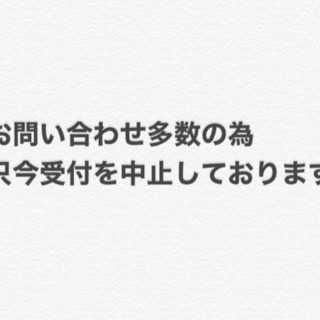 【至急】仔猫の里親募集
