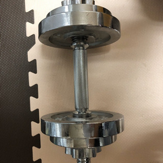 イグニオ クロームダンベル 10kg