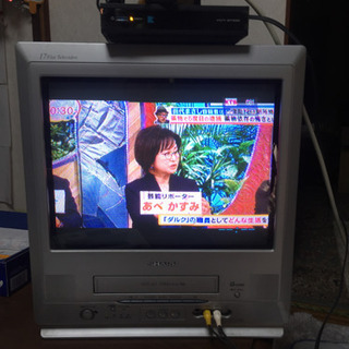 引き取り限定