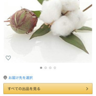 綿花の種♪ の画像