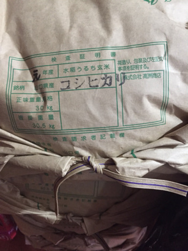 新米コシヒカリ