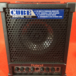 Roland モニターアンプ CM-30 