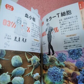 ★★新品!!大人気マンガ「はたらく細胞」シリーズの"教本"「細胞の教科書」★の画像