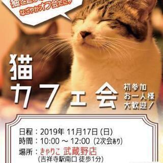 11/17(日)開催  猫好きが集まるなごやかオフ会