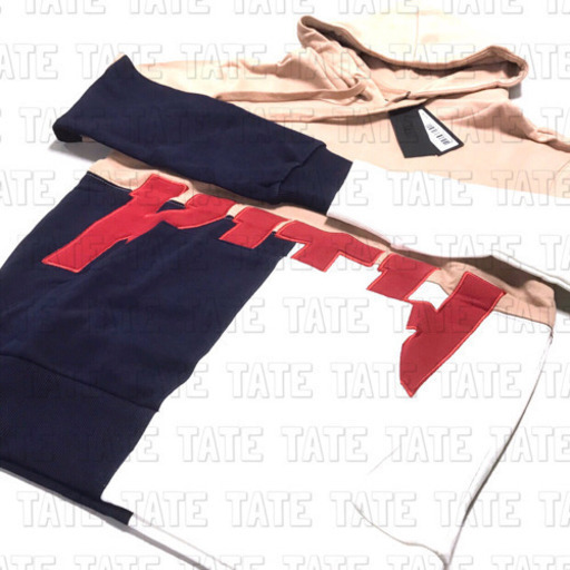 正規品 KITH キス ファストロゴ トリプルカラーパーカー
