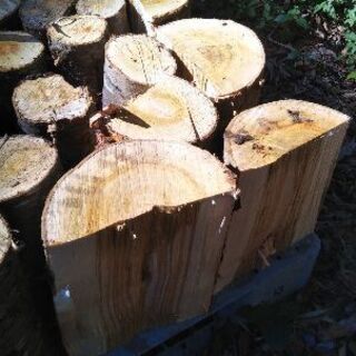 薪割りしたい方に！広葉樹ヤマザクラの玉切り丸太。長さ２９cm程度。軽トラ１台程度価格。少量販売歓迎。茨城県潮来市。の画像