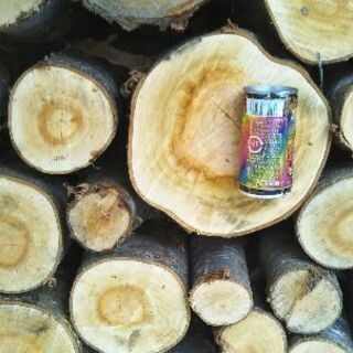 薪割りしたい方に！広葉樹ヤマザクラの玉切り丸太。長さ２９cm程度。軽トラ１台程度価格。少量販売歓迎。茨城県潮来市。の画像