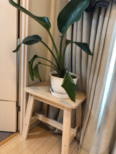 IKEA ダイニングテーブル&チェア（4脚）セット