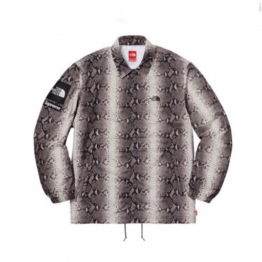 正規品 Supreme × THE NORTH FACE スネイクロゴジャケット