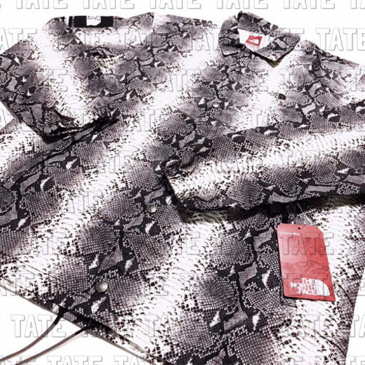 正規品 Supreme × THE NORTH FACE スネイクロゴジャケット