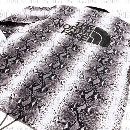 正規品 Supreme × THE NORTH FACE スネイクロゴジャケット