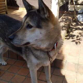 里親様宅で安心して過ごすことができました。 − 熊本県