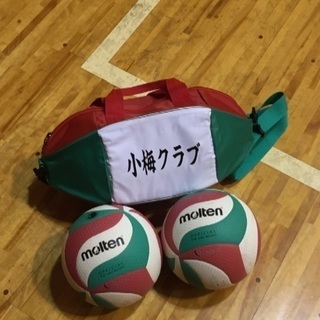 運動不足、ストレス解消にバレーボールしませんか⁉︎