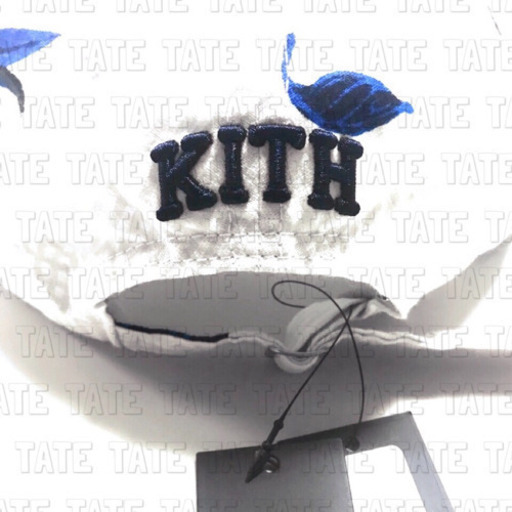 正規品 KITH シアサッカー フローラル キャップ グレー