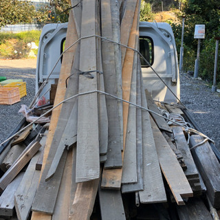 いろんな大きさの木