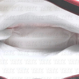 新品 TRADER JOE’S トレダージョーズ 保冷エコバッグ トートバッグ の画像