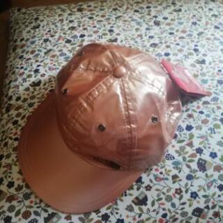 supreme The North Face Metallic cap