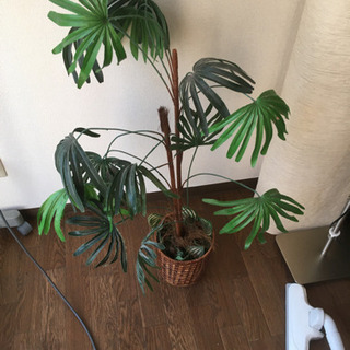 観葉植物　フェイク　100cm