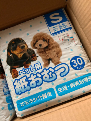 犬用 おつむ ペット オムツ