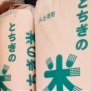 【新米】玄米