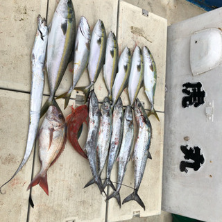 釣船 虎丸 − 和歌山県
