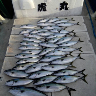 釣船 虎丸 - その他