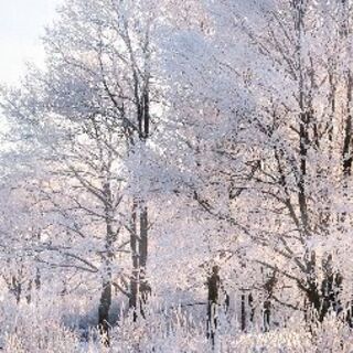 💐グルチャメンバー募集中です北九州&山口✴️