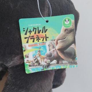 シャクレルプラネット☆ラッコの画像