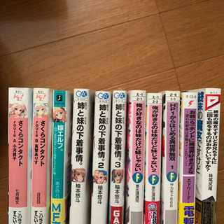 ライトノベル　11冊セット