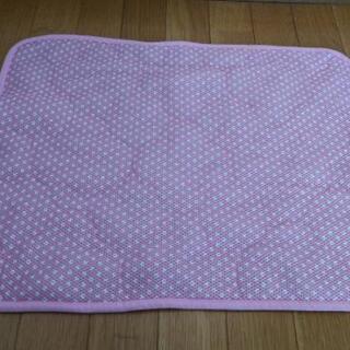 ペット用(パープル、アイボリー)カーペット2枚組セット