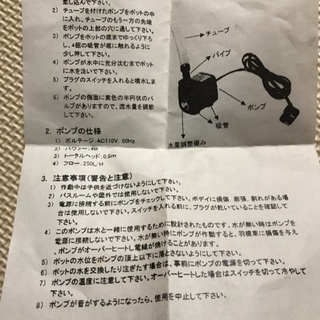名前分かりませんが…の画像